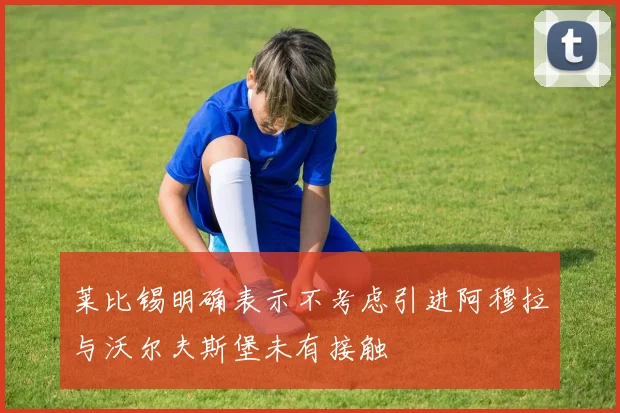 莱比锡明确表示不考虑引进阿穆拉与沃尔夫斯堡未有接触